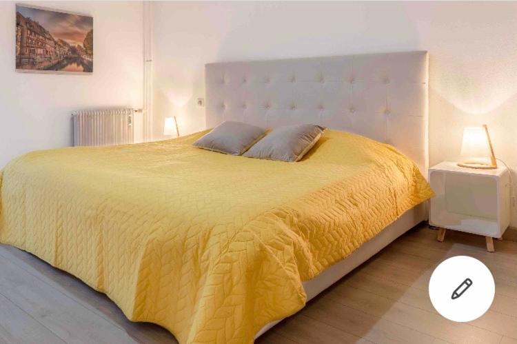 Appartement Colmar Centre Historique Avec Garage Zewnętrze zdjęcie